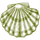 Excellence culinaire - Bruno FRITZ - fomules - icones - SaintJacques