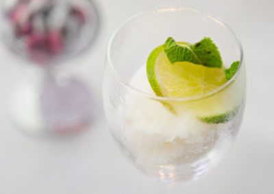 Sorbet morito vodka - Excellence culinaire - Bruno FRITZ - Cécile BOUCHER